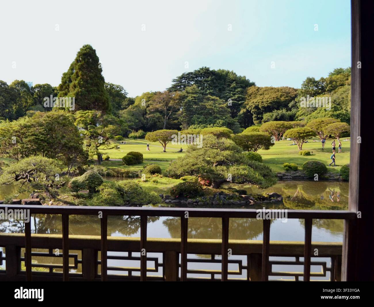 Traditional Japanese water garden with plants, shrubs, rocks and