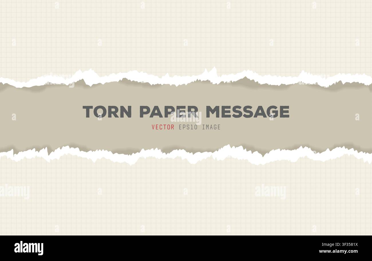 Ripped box patternt paper message Stock Vector