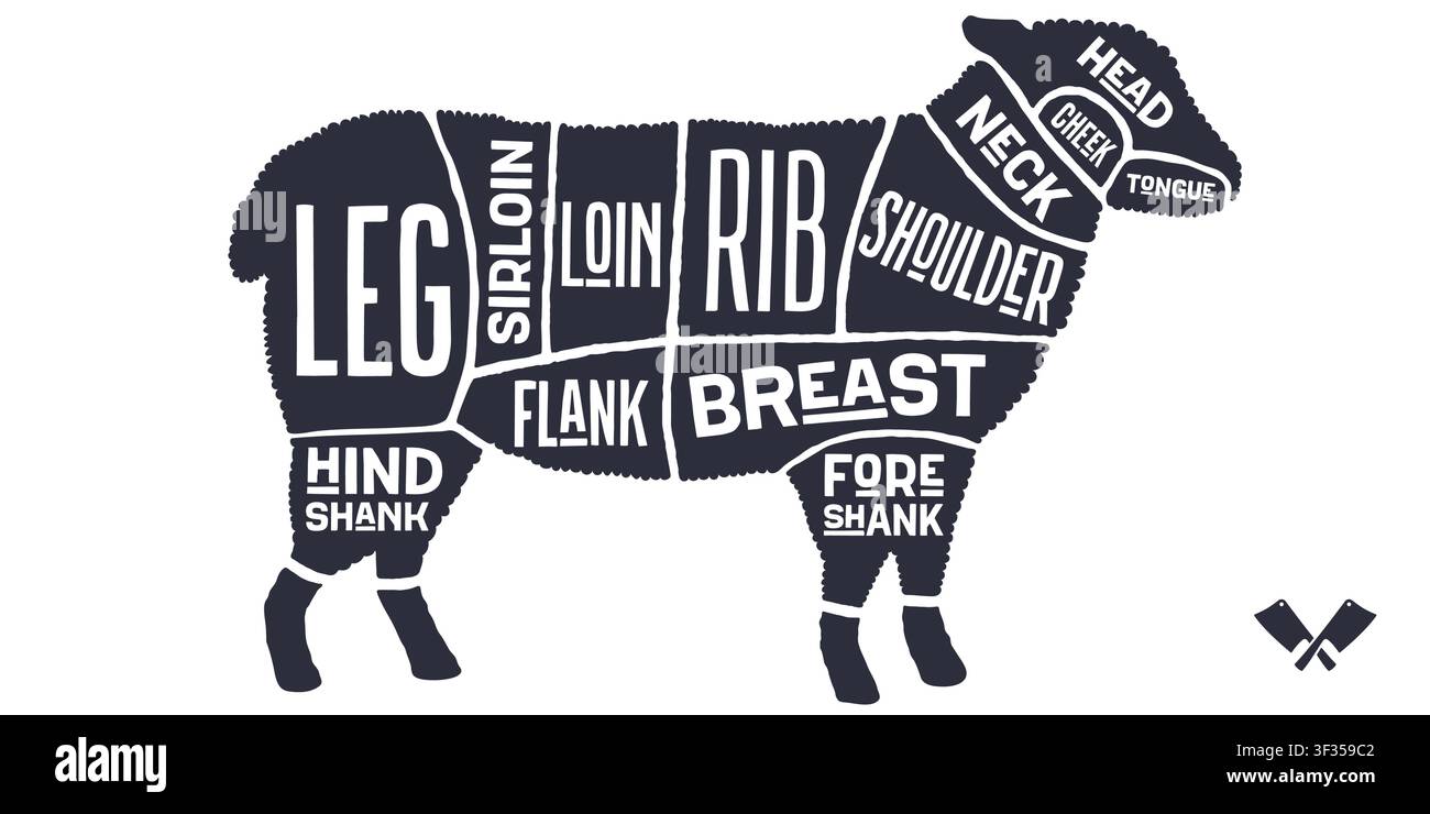 Lamb, sheep, hand-drawn butcher cuts Stock Vector