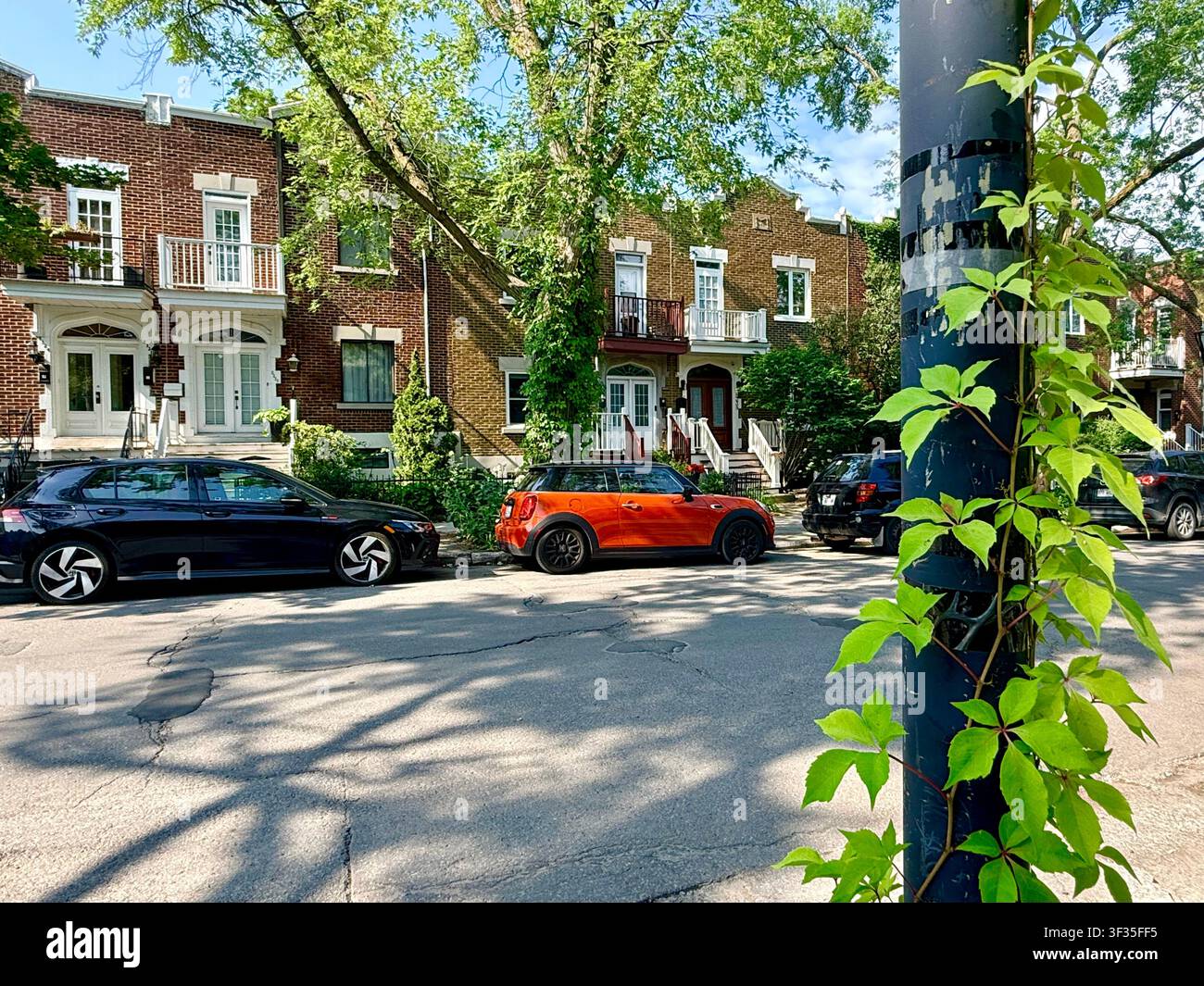 Traditional red-brick residential houses on a leafy street in Villeray, Montreal, Quebec, Canada. - Smartphone Captured Stock Image