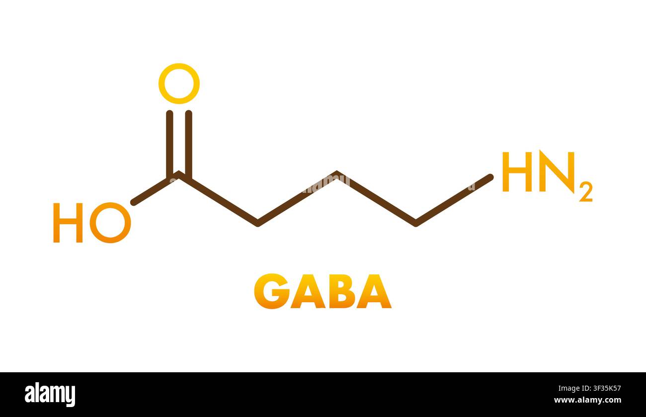 GABA neurotransmitter chemical skeletal formula structure Stock Vector