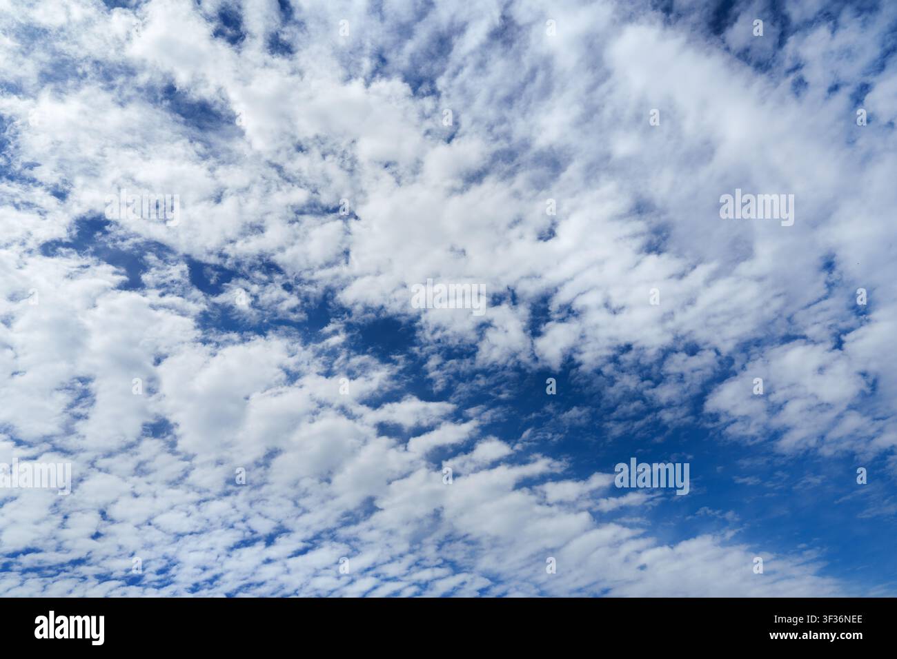Beautiful blue sky filled with white altocumulus clouds texture. Stock Photo