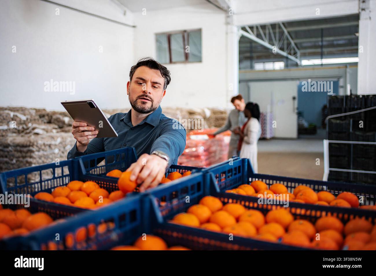 Man checking oranges supply chain and quality control with tablet Stock Photo