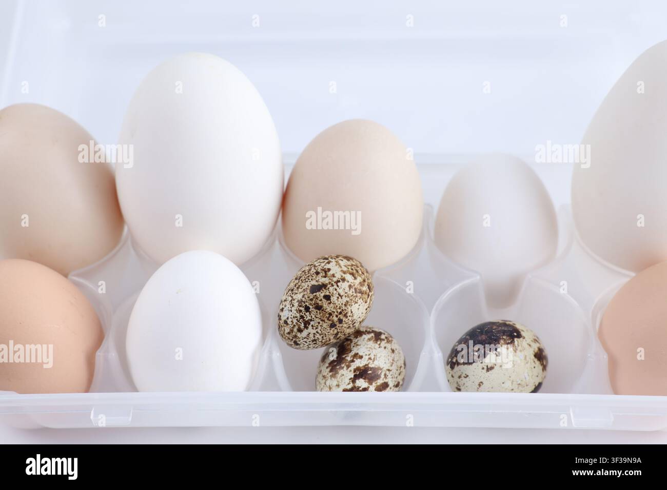 Many different eggs in plastic container, closeup Stock Photo
