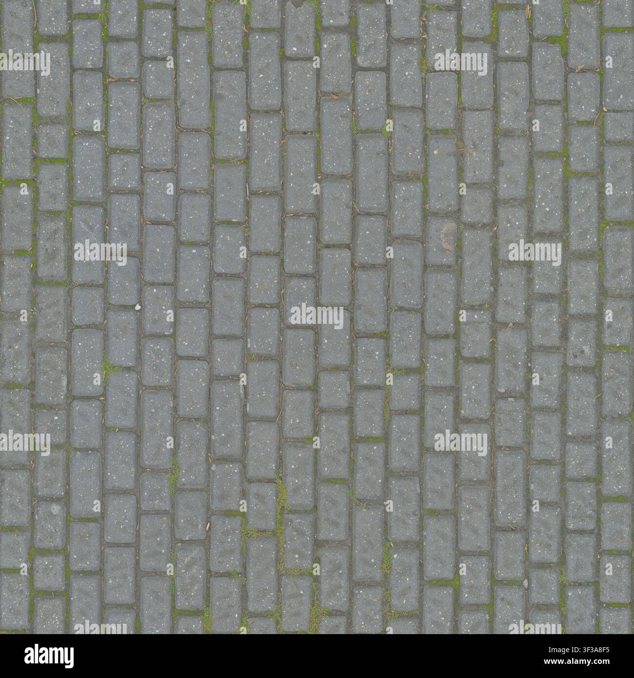Top view of light grey rectangular concrete paving stones laid in rows with faint green moss growing between the joints. Stock Photo