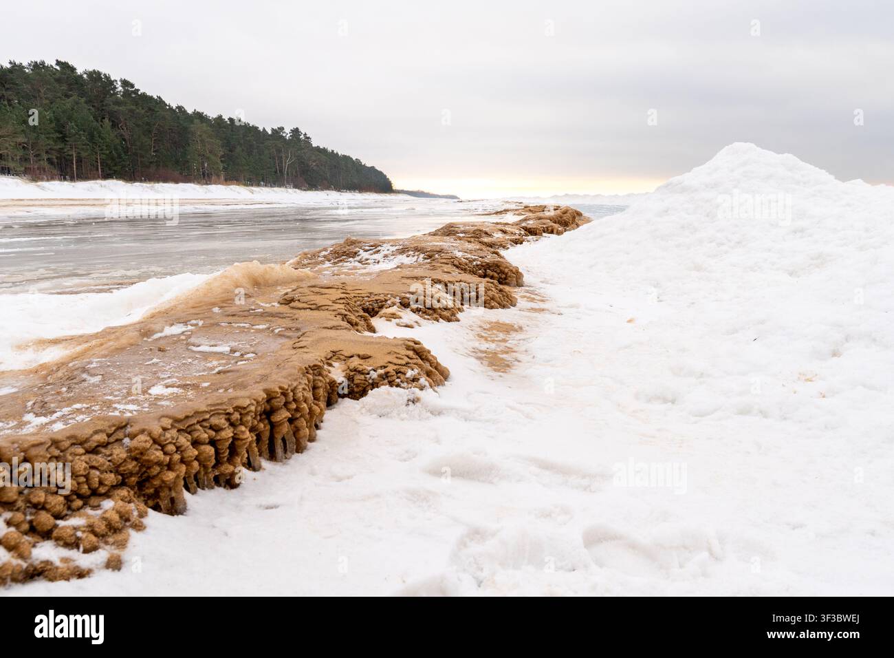 Frozen Sandy Ice Formations Along Winter Seashore With Snowdrifts and Forest Coastline, Cold Baltic Landscape Showing Natural Erosion, Texture and Qui Stock Photo