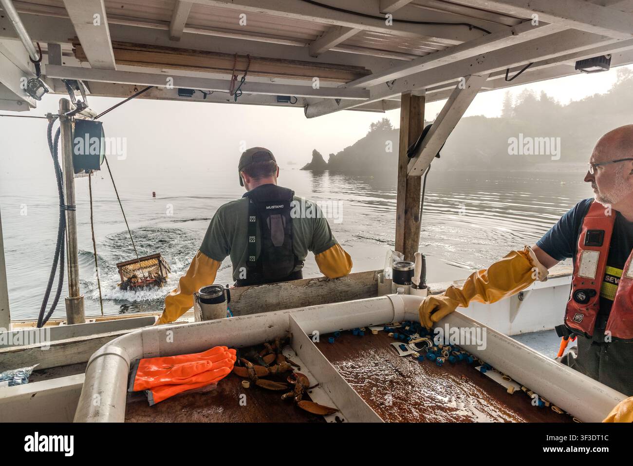 A fisherman pulls a lobster pot out of the water alongside a lobster boat, whilst a second fisherman stows the fresh catch in a sorting box. Photograph taken at St Ann’s Bay near Englishtown, Nova Scotia, Canada Stock Photo