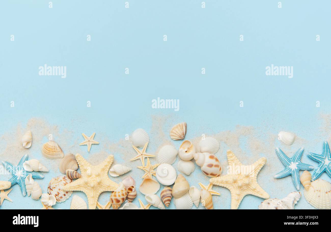 Starfish and seashells scattered on a blue sandy surface Stock Photo