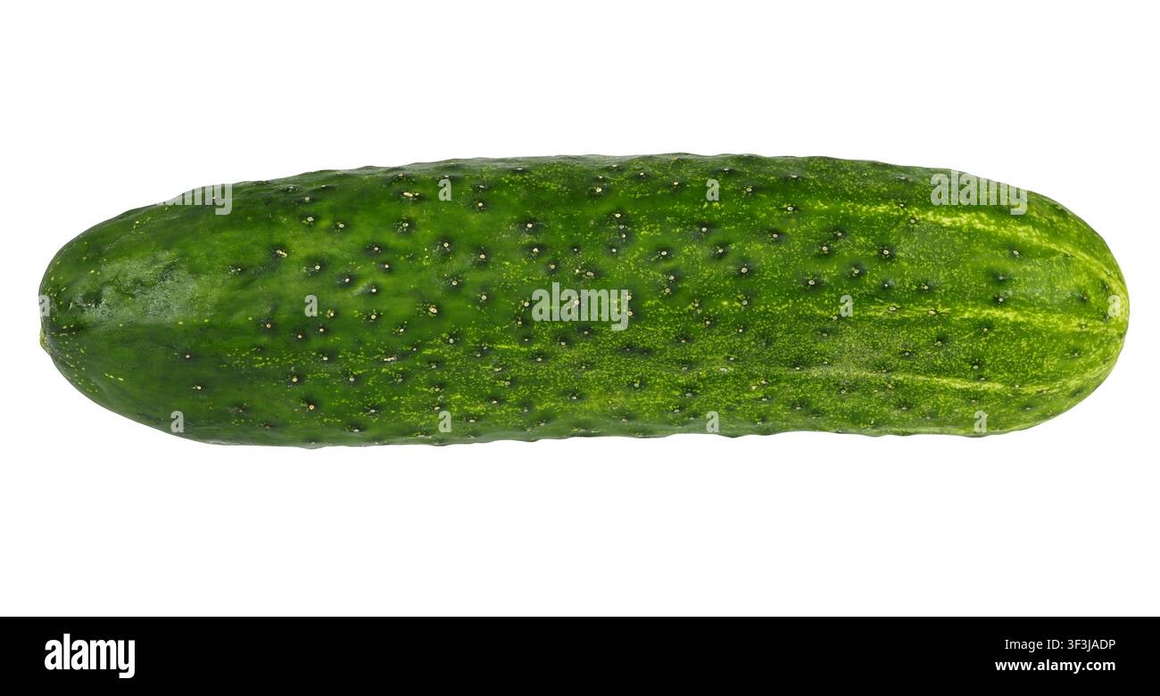 Cucumber isolated on white background Stock Photo