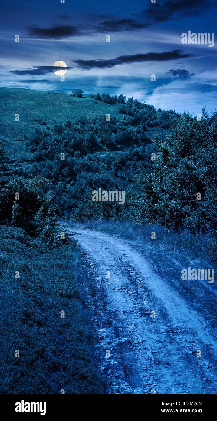 hiking path in carpathian mountains at night. full moon over alpine nature of transcarpathia in summer. ukraine mountain landscape for travel. views o Stock Photo