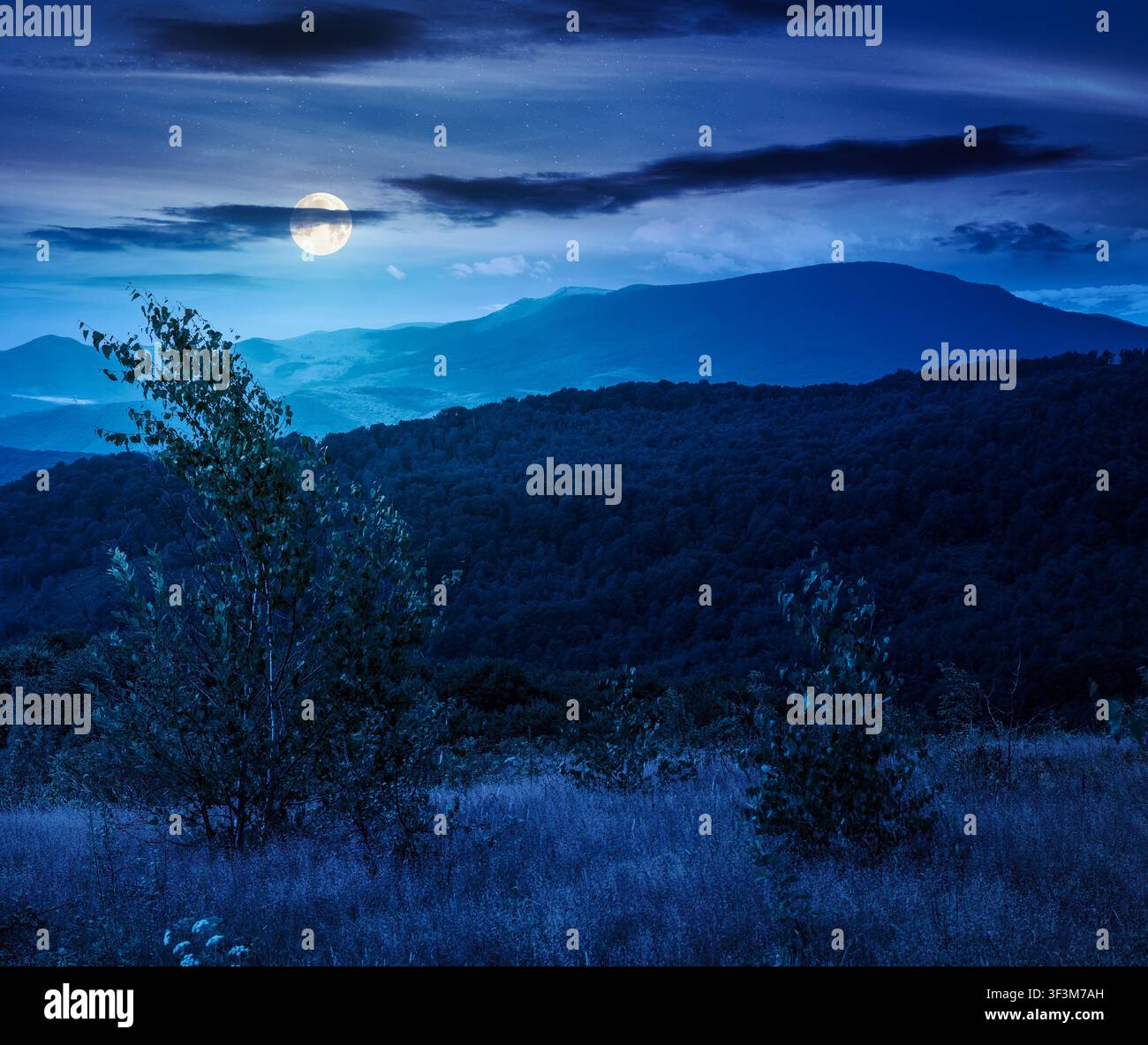 tree on a field in mountain landscape at night. full moon over green countryside of ukraine in summer. cloudy weather. carpathian landscape in dappled Stock Photo