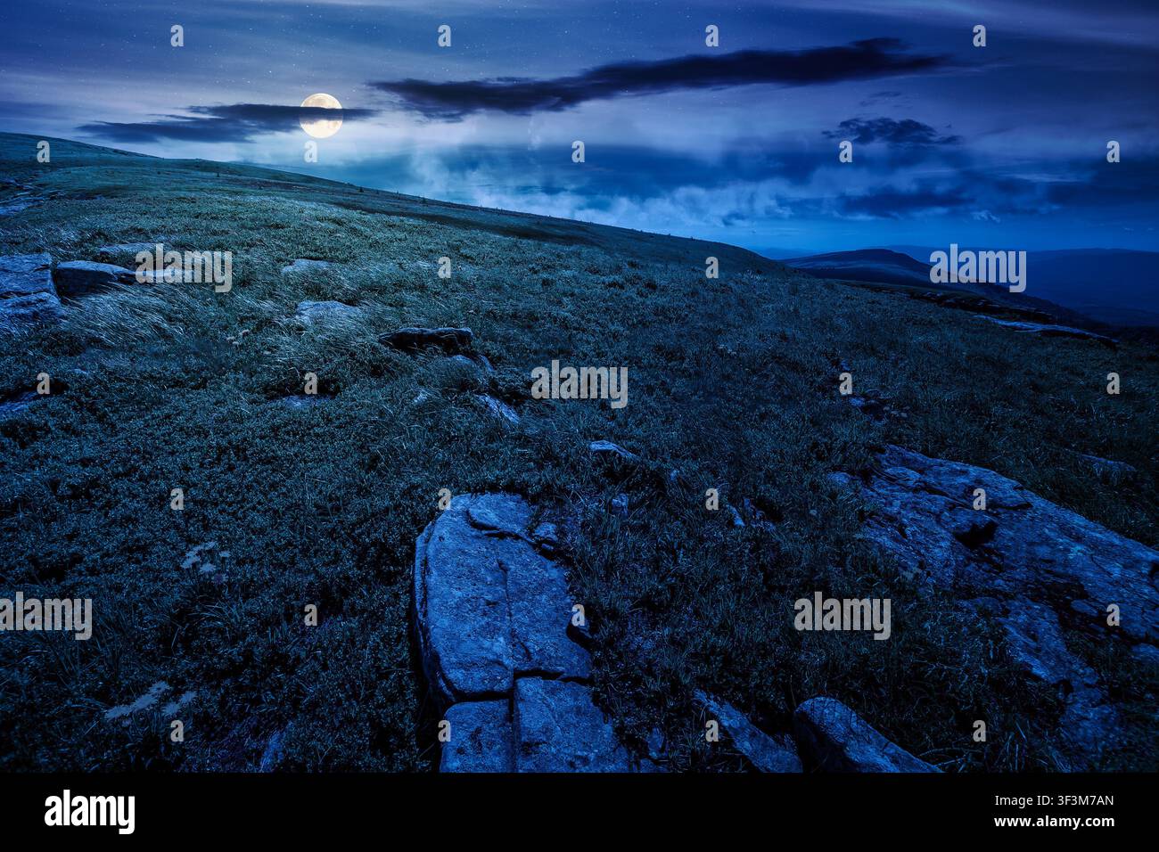 carpathian mountain landscape on summer night. fantasy view of a grassy alpine meadow. full moon over rock and yellow herbs on the hill. mysterious mo Stock Photo