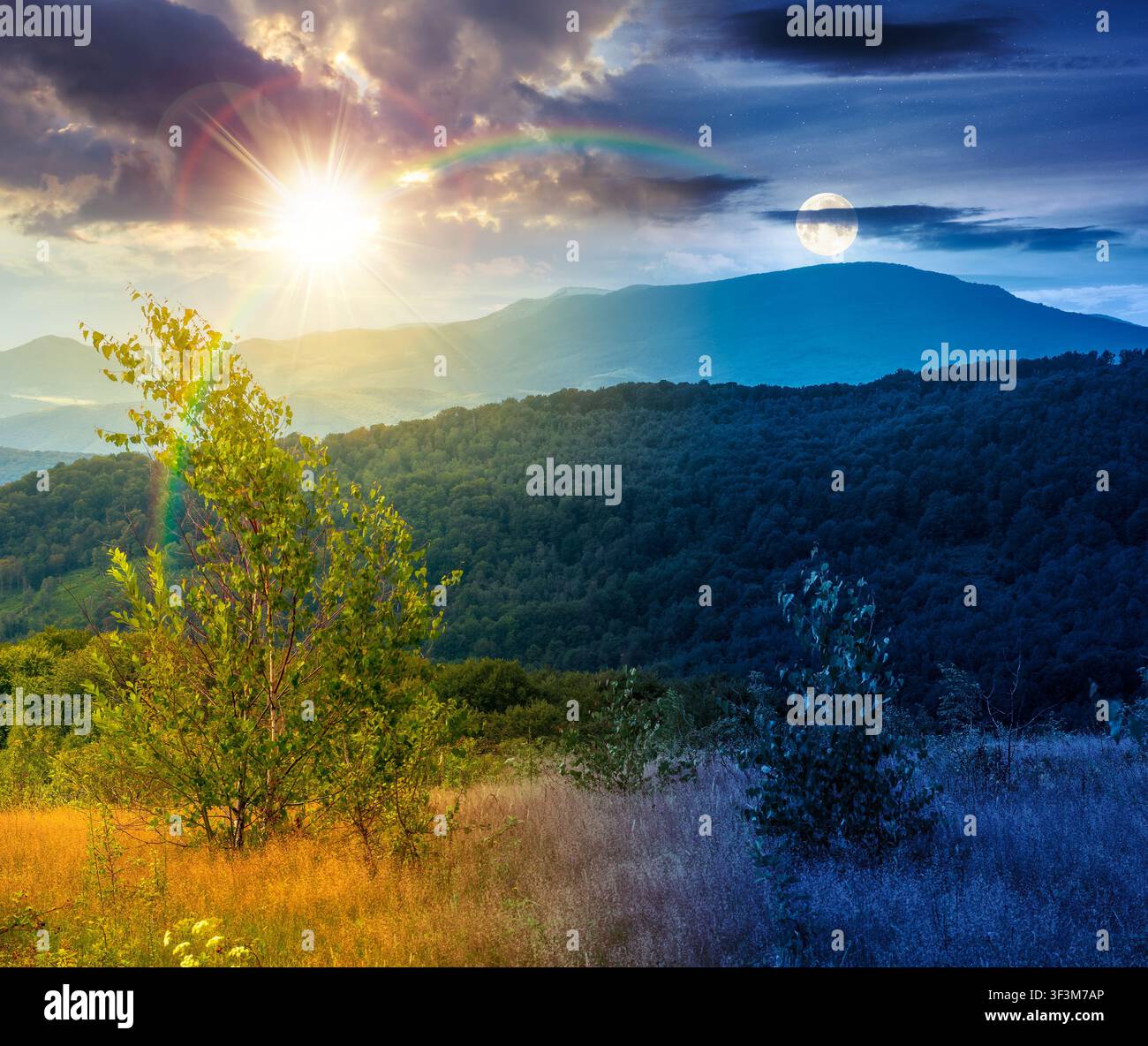 tree on a field in mountain landscape. day meet night. sun and moon over green countryside of ukraine in summer. cloudy weather. carpathian landscape Stock Photo