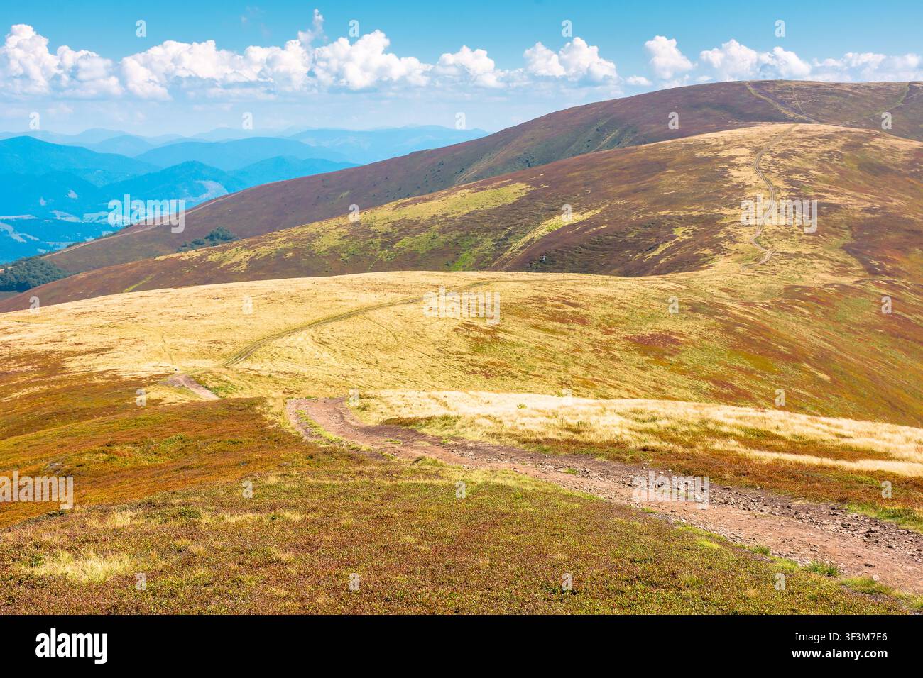 carpathian mountain landscape in late summer. scenic alps of ukraine in the afternoon. background image for hiking through borzhava ridge Stock Photo