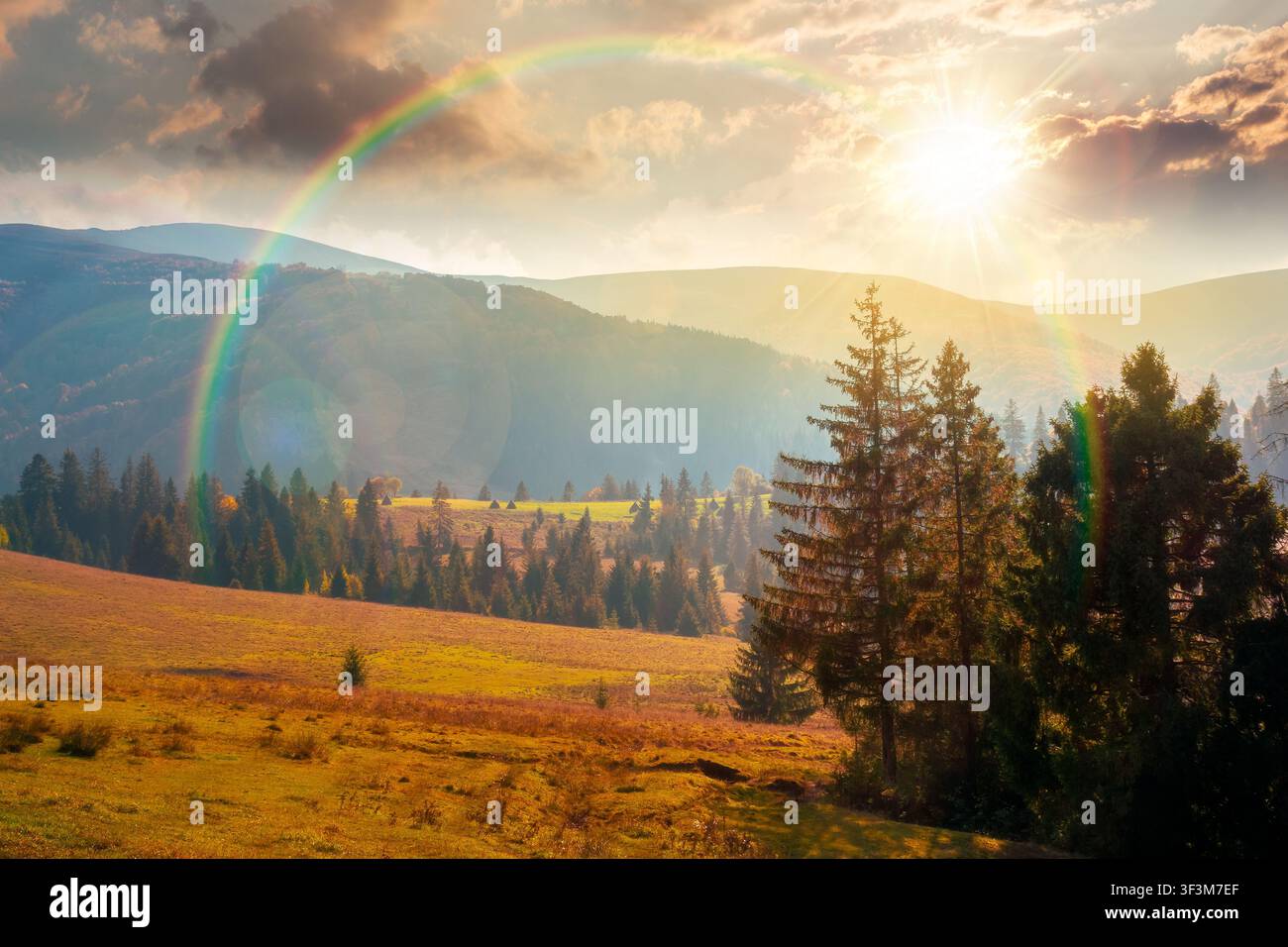 countryside mountain landscape in autumn. weathered grassy field on a hill near forest. rural sunset background. alpine highland of ukraine in evening Stock Photo