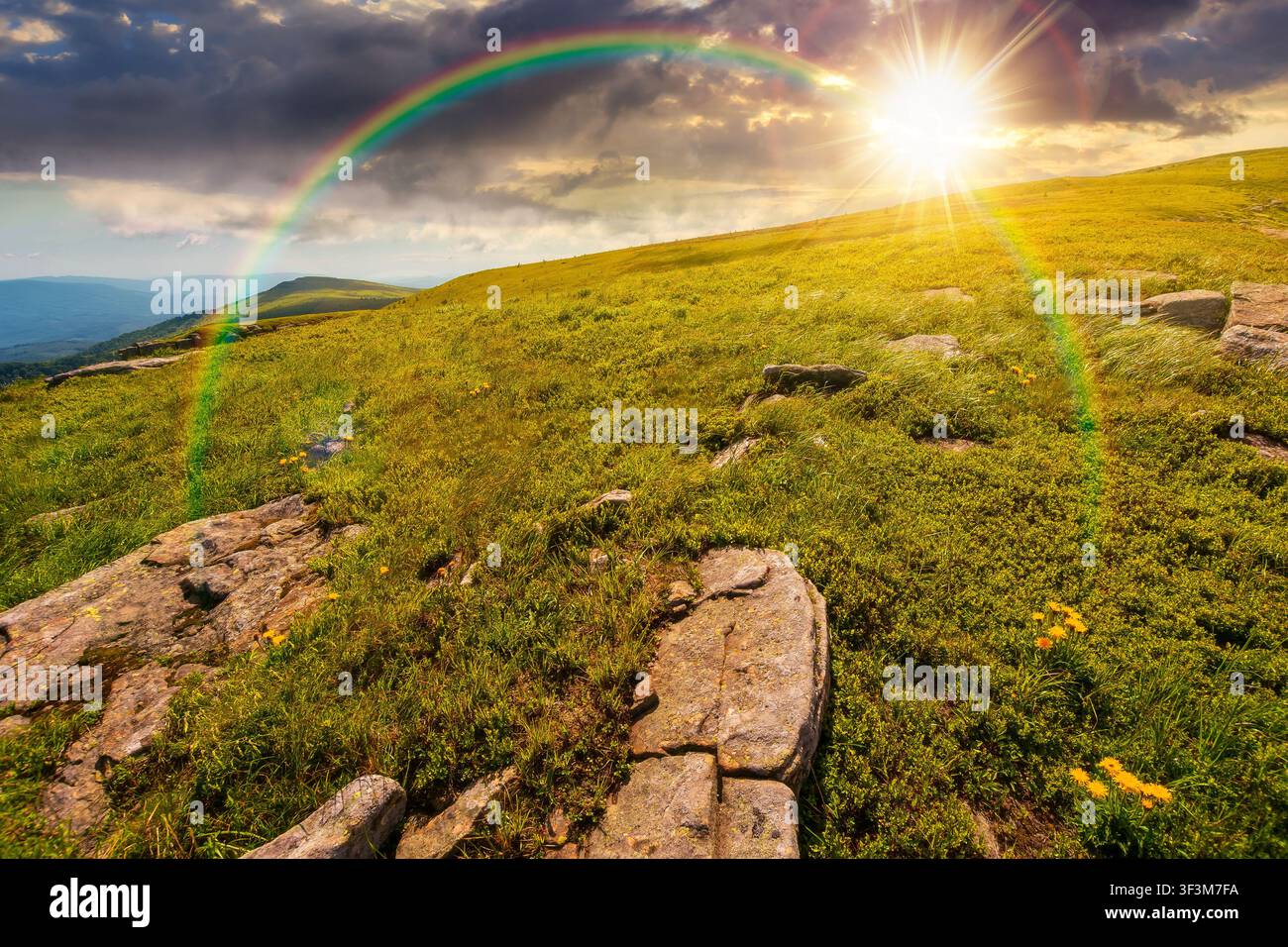 sunset over carpathian mountain landscape in summer. nice view of a grassy alpine meadow. rock and yellow herbs on the hill. sunny mountain weather wi Stock Photo