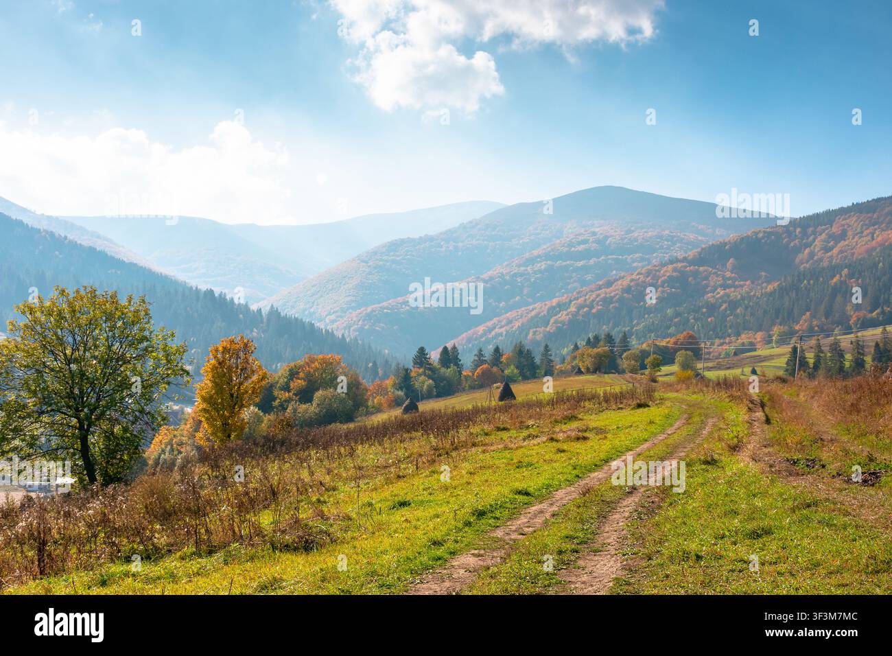 countryside mountain landscape in autumn. weathered grassy field on a hill near forest. rural outdoor adventure background. alpine highland of ukraine Stock Photo