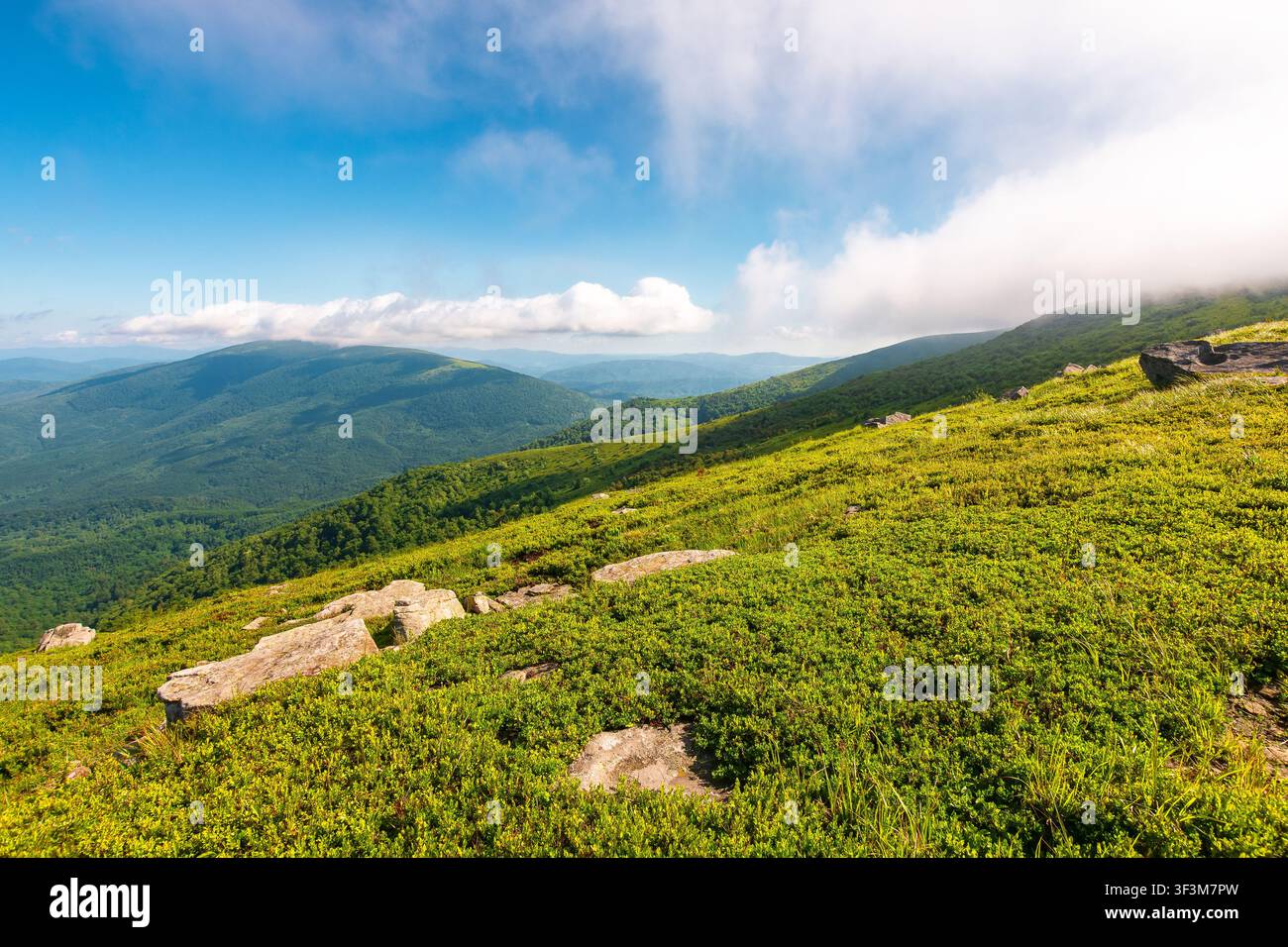 nature scenery with mountain under summer sky. alpine landscape of carpathian mountain with grassy slopes. low fluffy clouds on high altitude. summer Stock Photo