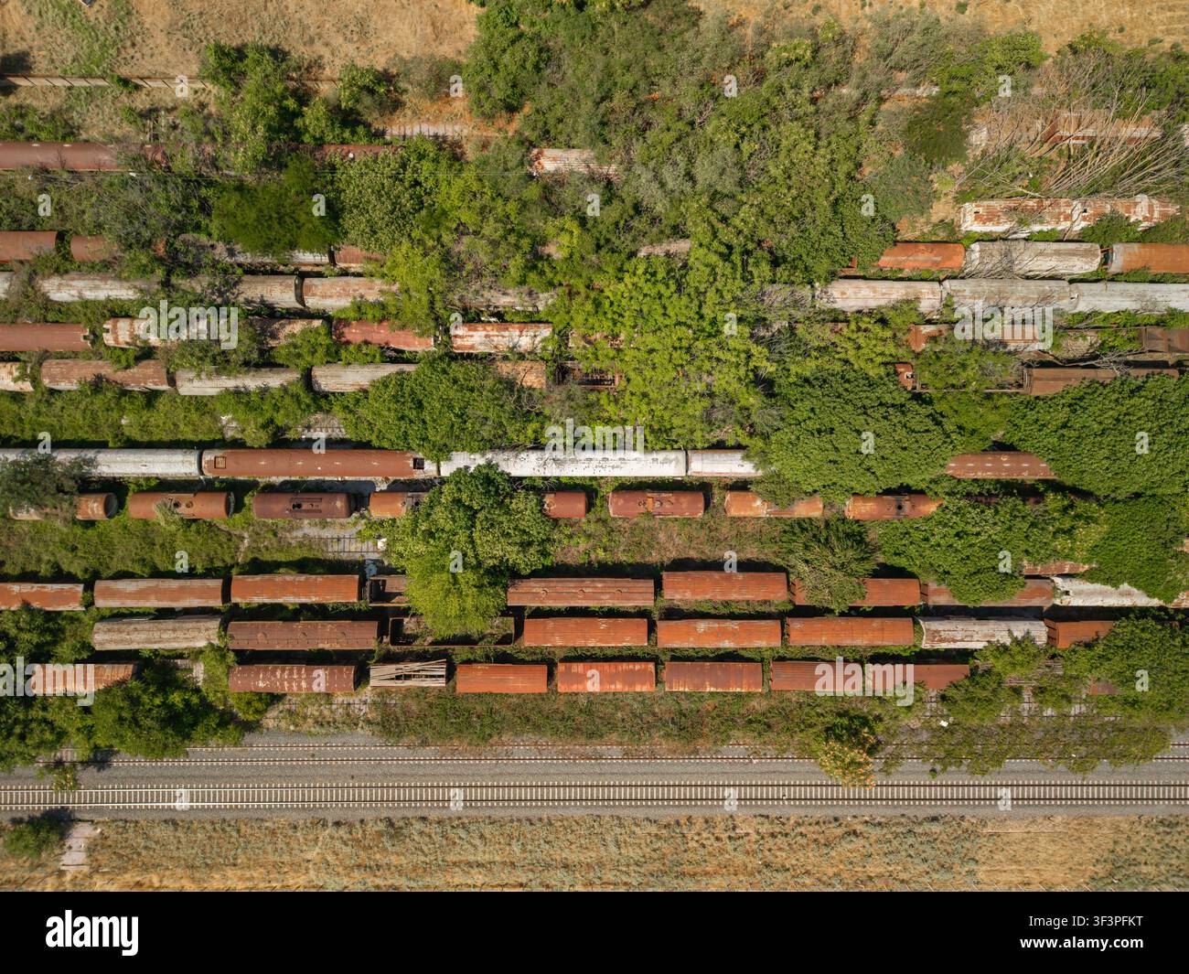 Aerial top down view of old rusty train wagons abandoned on overgrown tracks Stock Photo