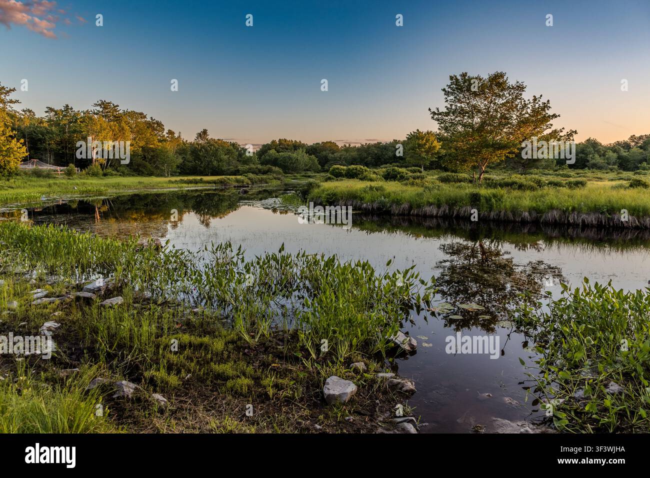 A tranquil pond reflects the trees and the evening sky on the grounds of the Deep Sky Eye Observatory near Tusket, Nova Scotia. This sparsely populated region is one of the darkest areas for stargazing in eastern Canada. Argyle Municipal, Nova Scotia, Canada Stock Photo