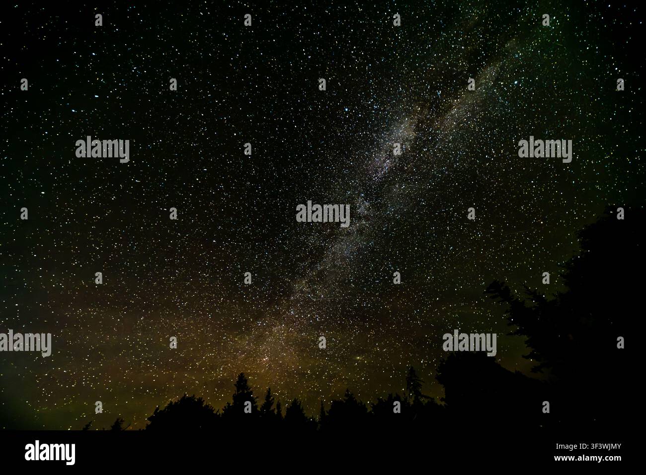 The Milky Way stretches across the woods near the Deep Sky Eye Observatory on Frotten Road in the Municipality of Argyle, Nova Scotia, Canada. Since 2015, the observatory has been recognised as North America’s first Starlight-certified destination by the Starlight Foundation. Argyle Municipal, Nova Scotia, Canada Stock Photo