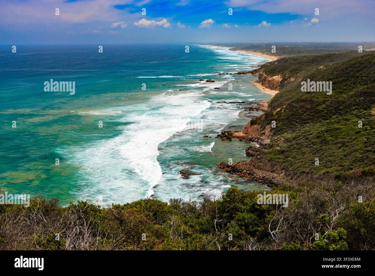 Turquoise ocean waves breaking along the rugged coastline at Fingal Beach on the Mornington Peninsula, Victoria, Australia, with cliffs, dense vegetat Stock Photo