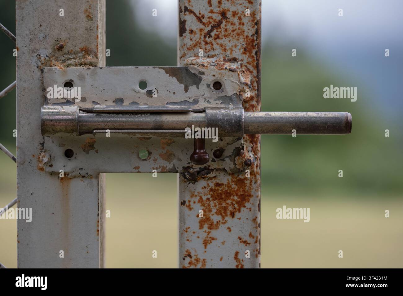 Rusty metal gate latch closing preventing entry, showing weathered texture Stock Photo