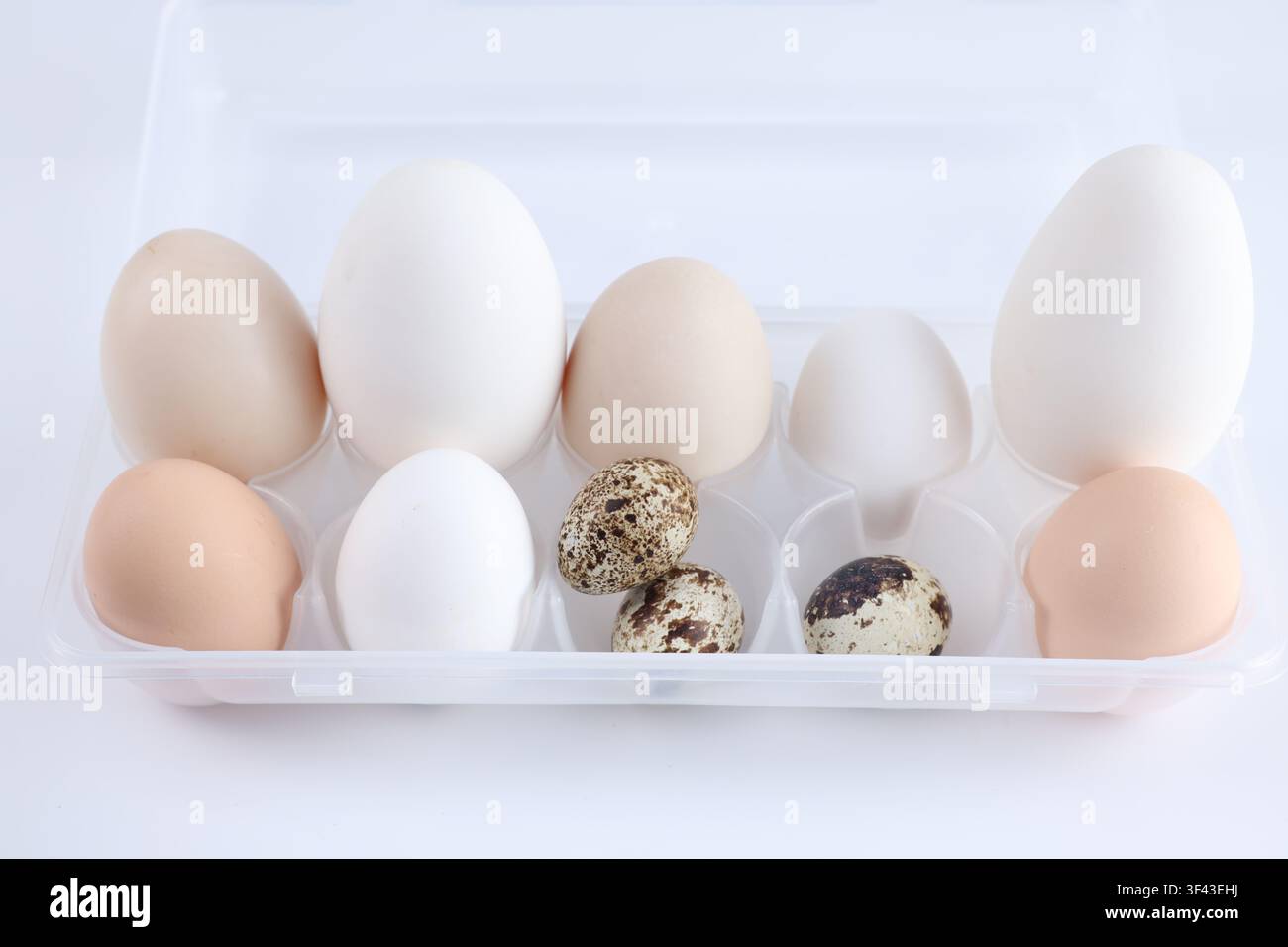 Different eggs in plastic container on white background, closeup Stock Photo
