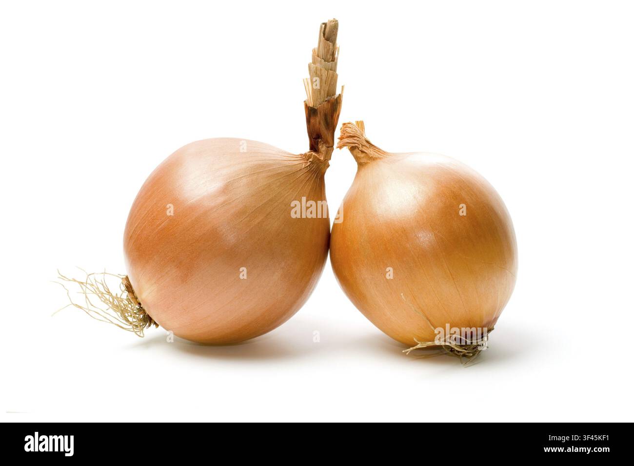 Two onions isolated on white background Stock Photo