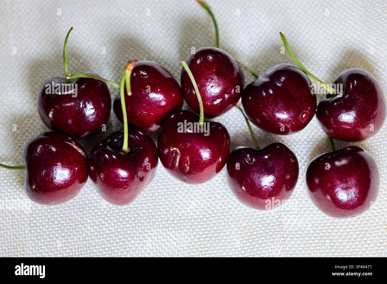 Fresh Dark Red Cherries with Stems on White Textured Surface Stock Photo