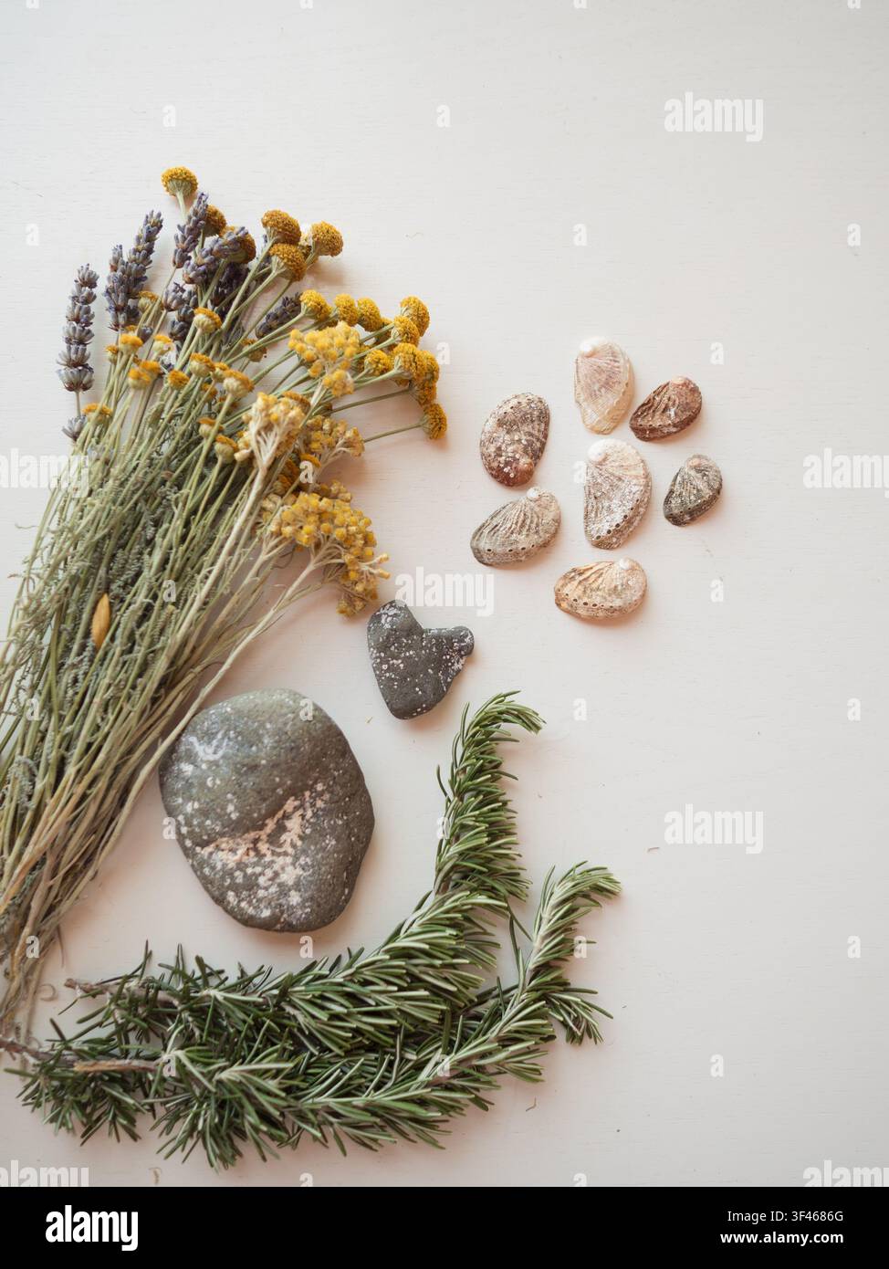 Sardinian flat lay — wildflowers, stones, shells on white Stock Photo