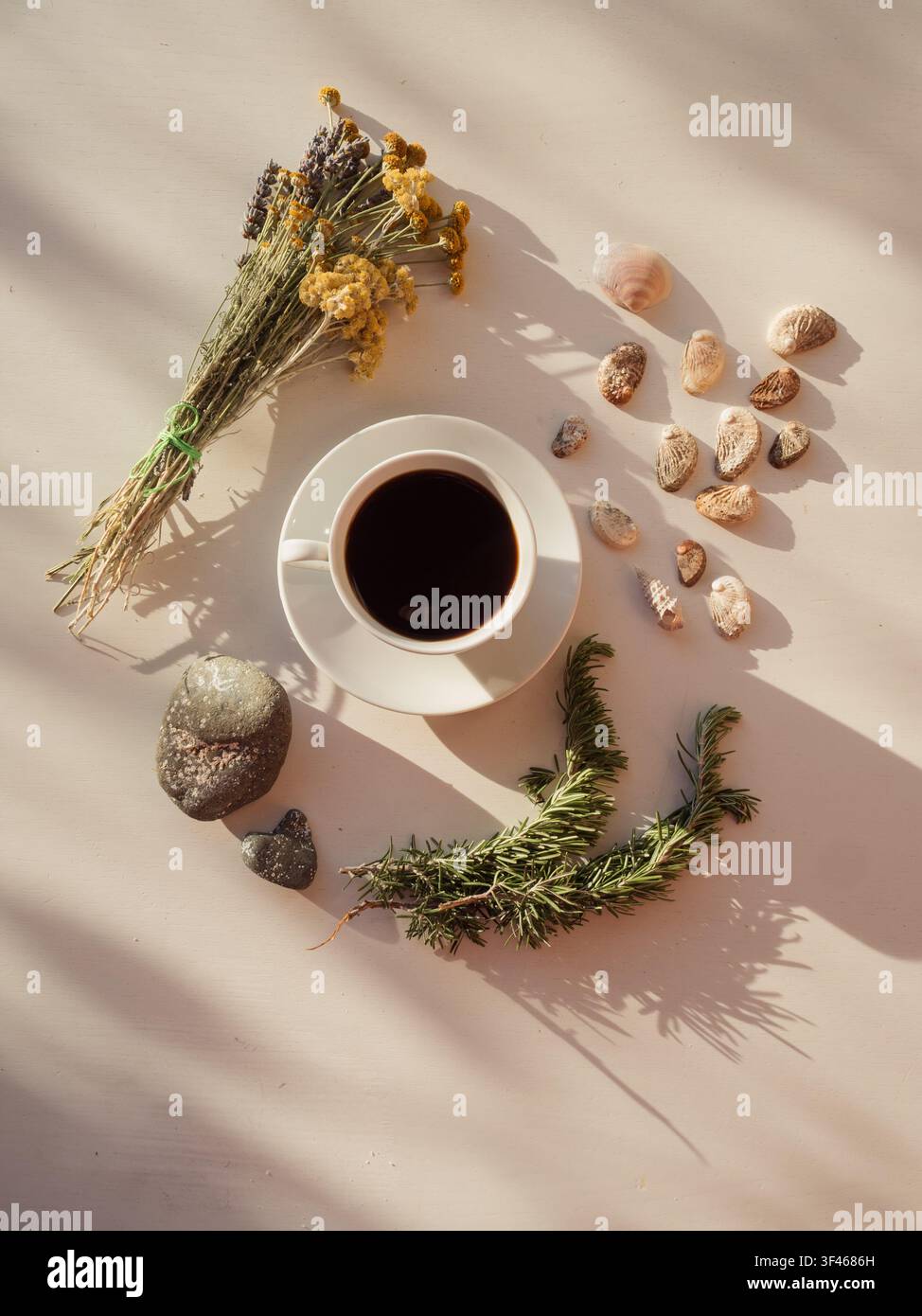 Espresso, stones, shells and wildflowers, flat lay Stock Photo