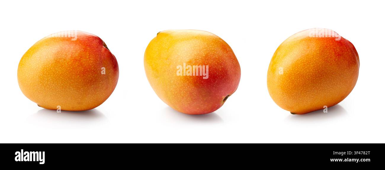 fresh mango fruits isolated on white background Stock Photo