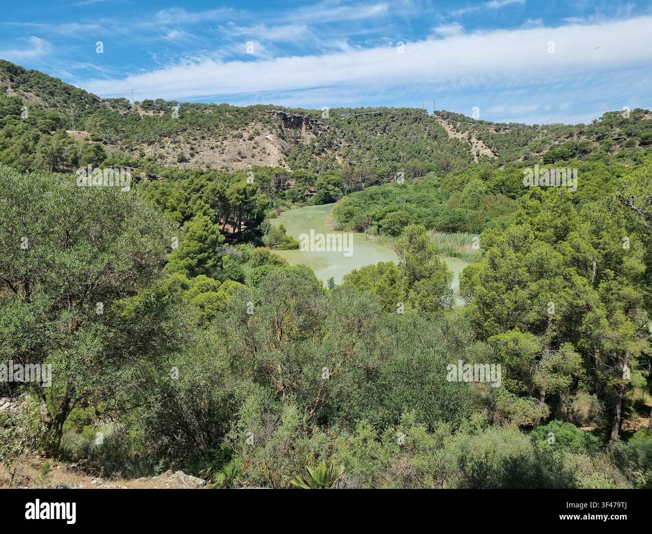Still green pond in a wooded valley surrounded by pine and Mediterranean scrub covered hills, Andalusia, southern Spain - Smartphone Captured Stock Image