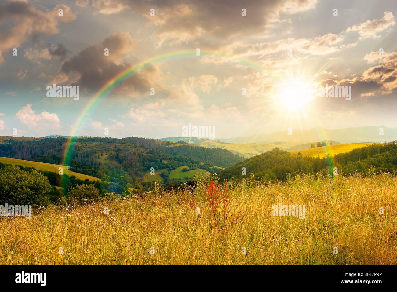 sunset over countryside mountain landscape in summer. lush grassy pasture on a hill near forest. rural outdoor adventure background. alpine highland o Stock Photo