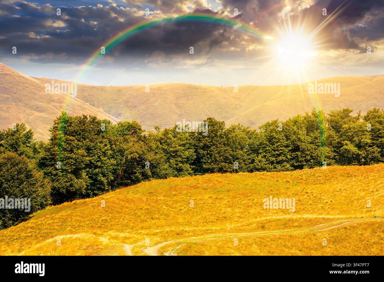 sunset over carpathian mountain landscape in summer. primeval beech forest on the grassy hill. wonderful scenery of ukrainian highlands. pristine ecos Stock Photo