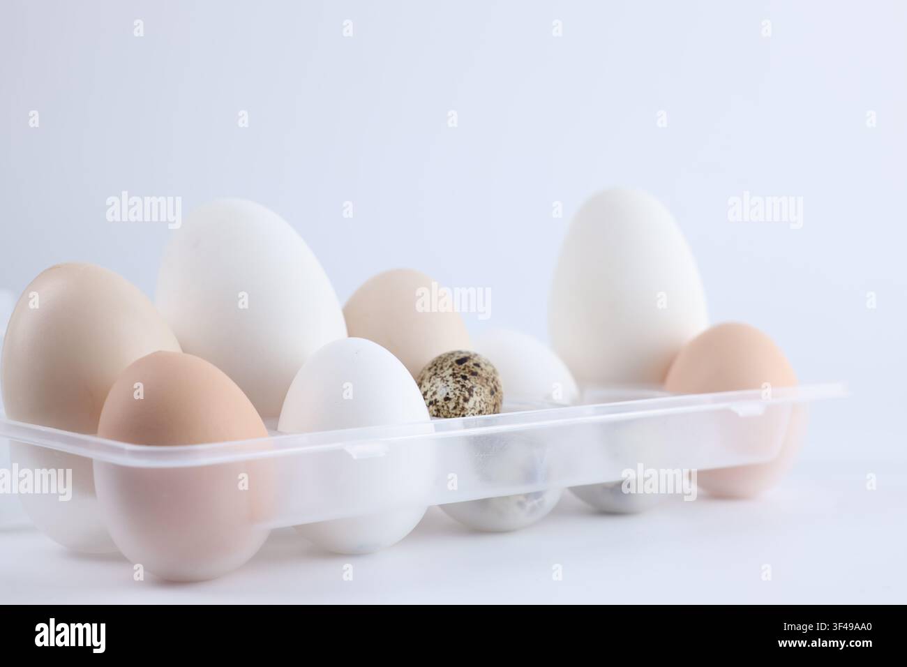 Different eggs in plastic container on white background, closeup Stock Photo