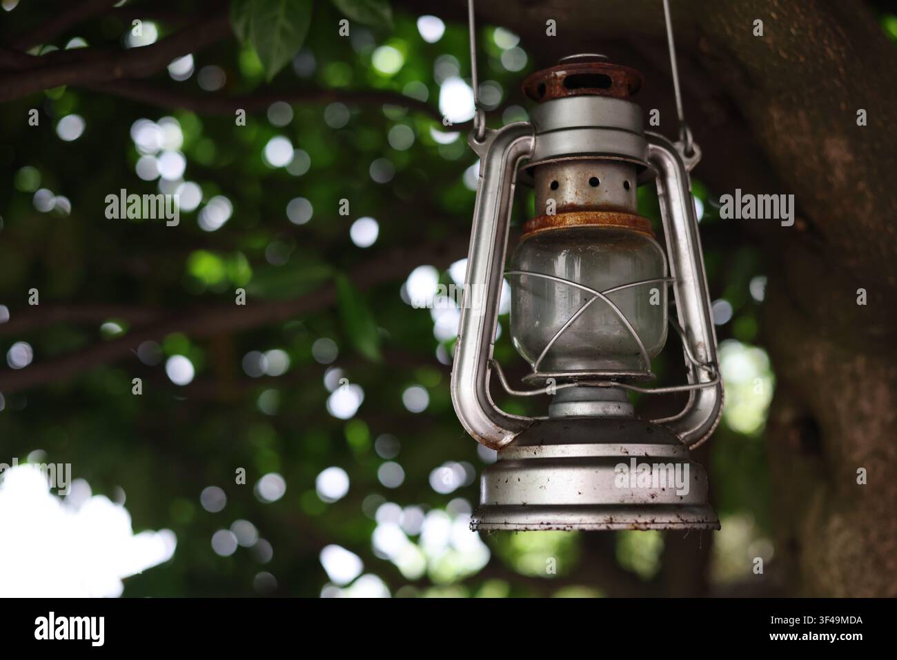 Vintage kerosene lantern hanging from a tree with green background Stock Photo