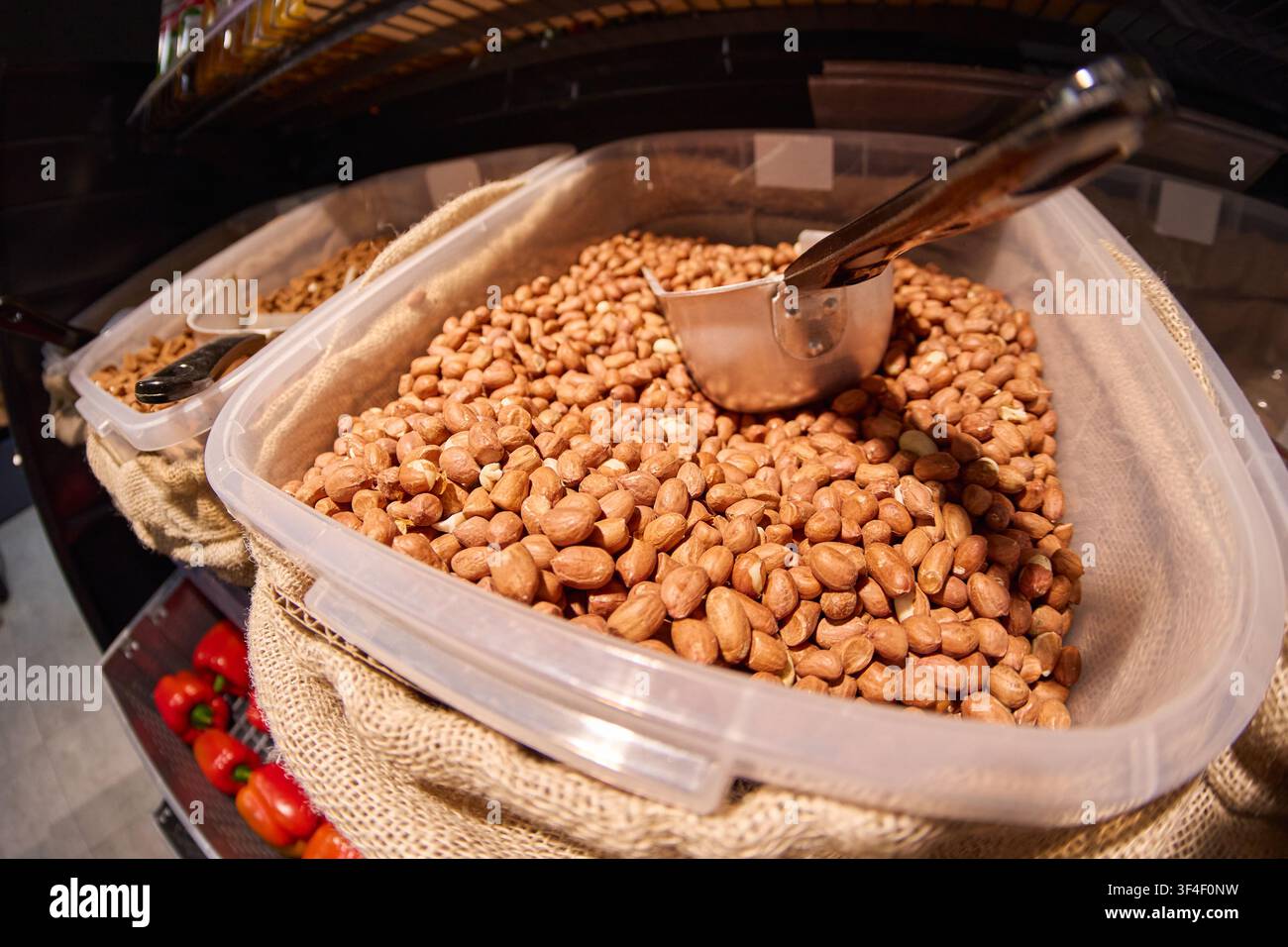 Raw organic peanuts in shell inside transparent plastic storage container Stock Photo