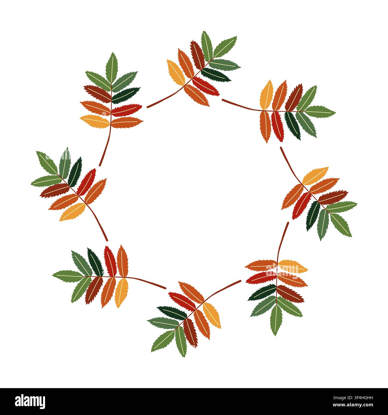 Colorful rowan leaves circular frame on white background flat Stock Vector