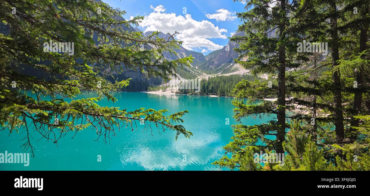 A view of Lake Braies from amongst the pine trees that surround it, with a lovely contrast between the greens and turquoises, Dolomites - Smartphone Captured Stock Image