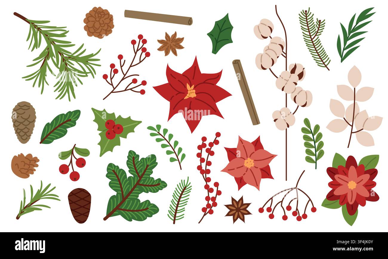 Christmas leaves and branches. Winter plants Stock Vector