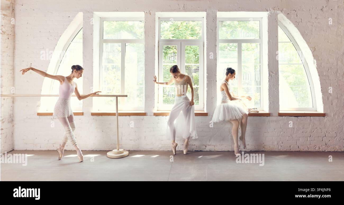 Three ballet dancers practicing at barre in sunlit studio Stock Photo
