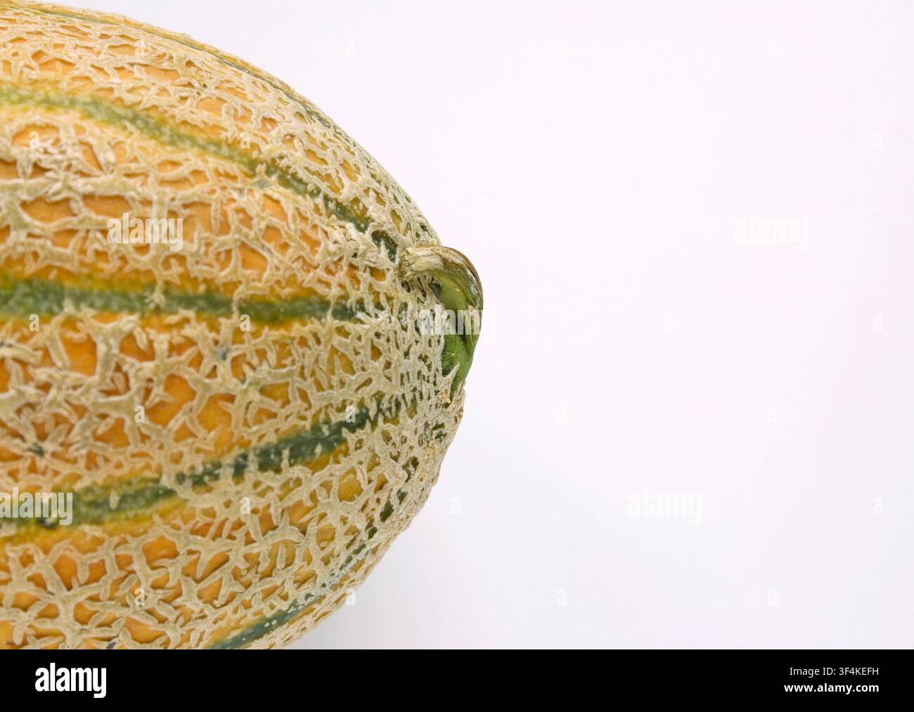melon on white background Stock Photo