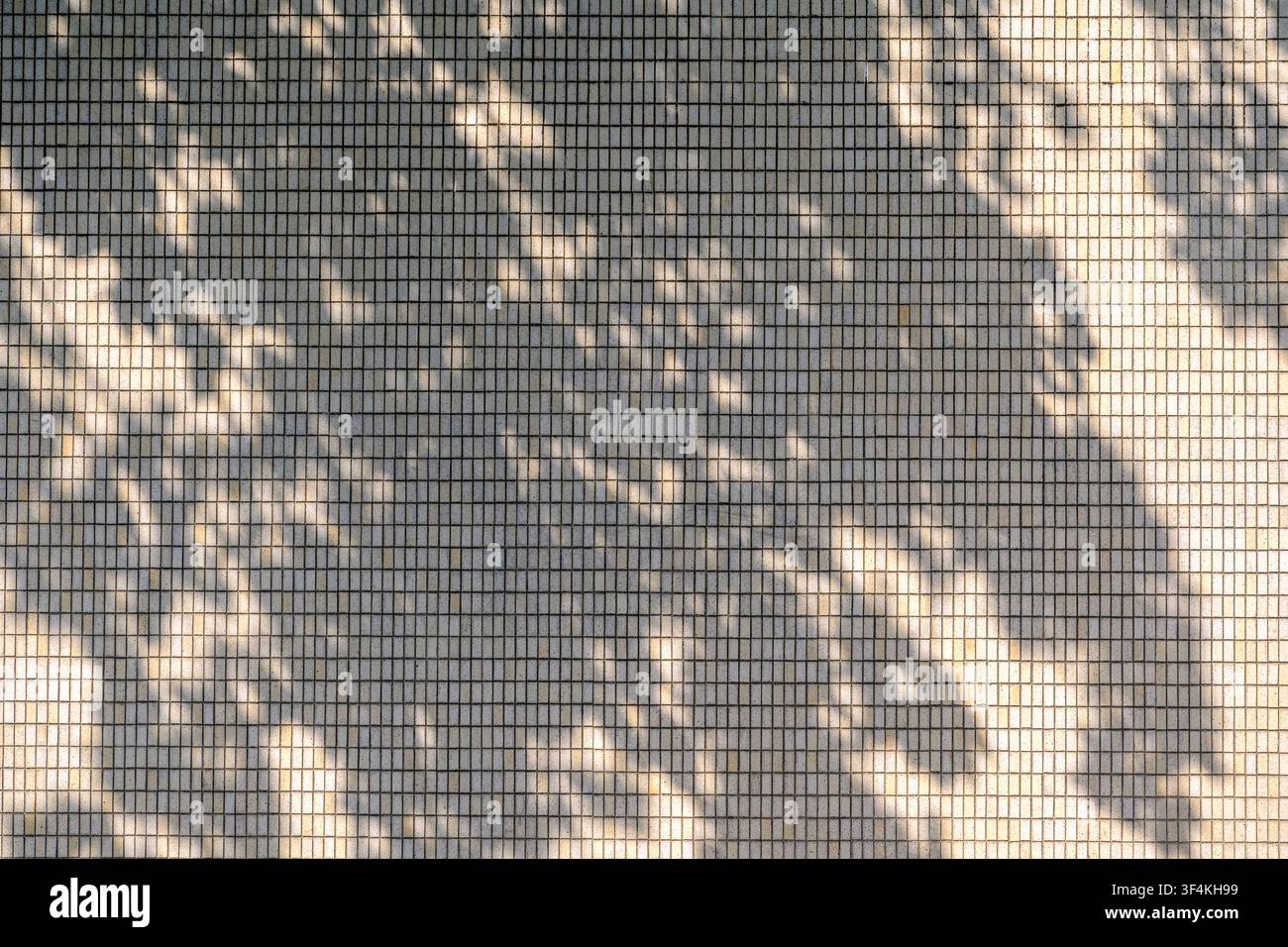 Dappled Sunlight Shadows On A Tiled Wall Creating An Abstract Pattern Stock Photo