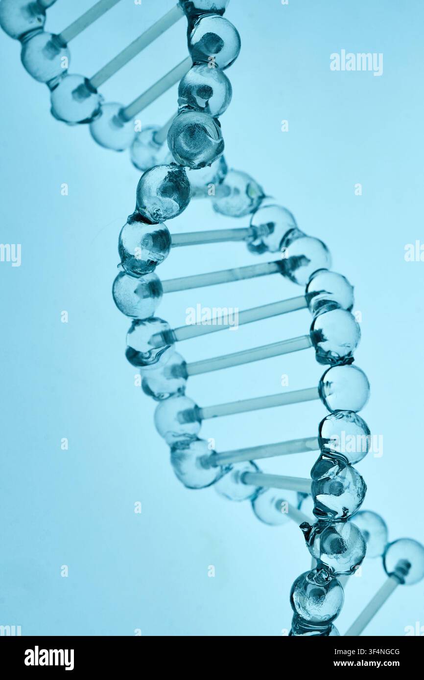 Dna double helix structure representing genetic biology science Stock Photo