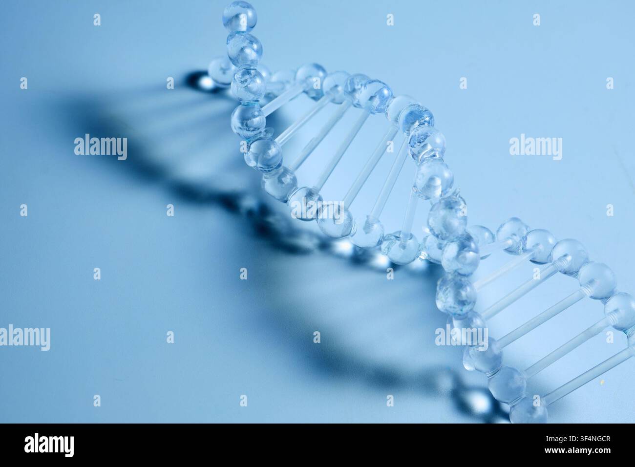 Dna double helix model representing genetic science and research Stock Photo