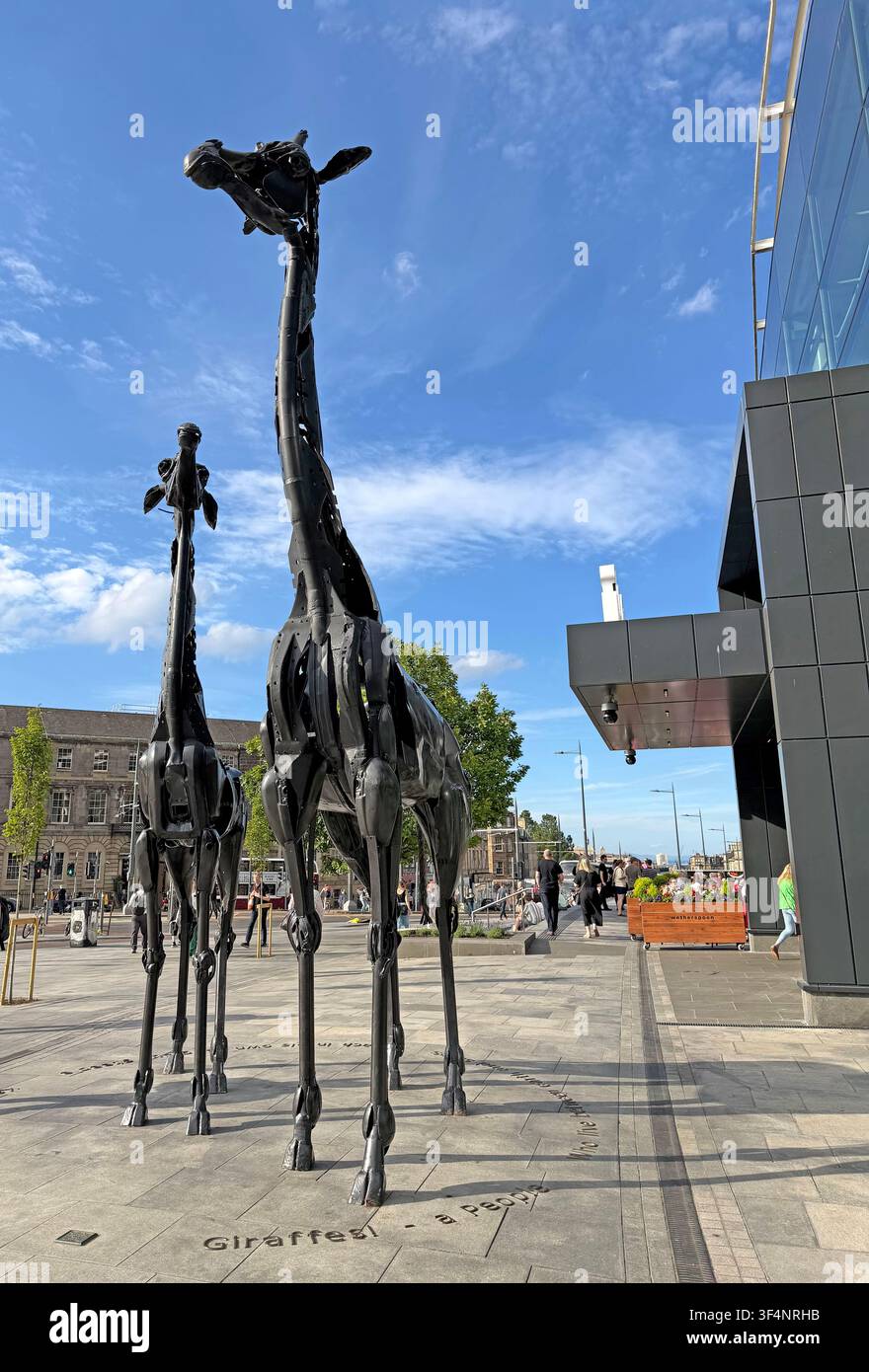 Dreaming Spires scrap-metal giraffe torso sculptures on a pedestrianised street in central Edinburgh,Scotland, with people walking beneath blue sky Stock Photo