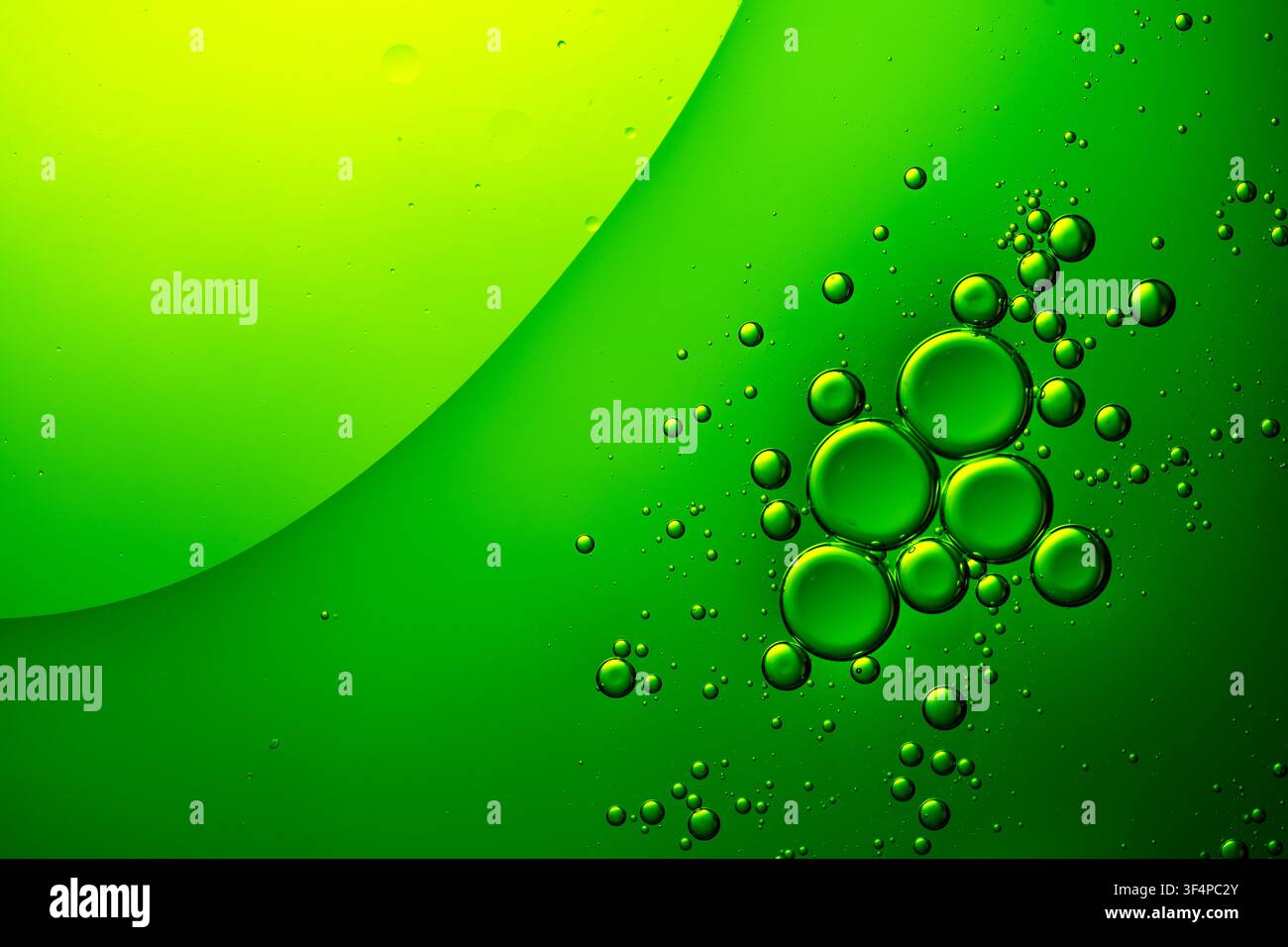 Green oil bubbles creating an abstract pattern in a fluid background Stock Photo