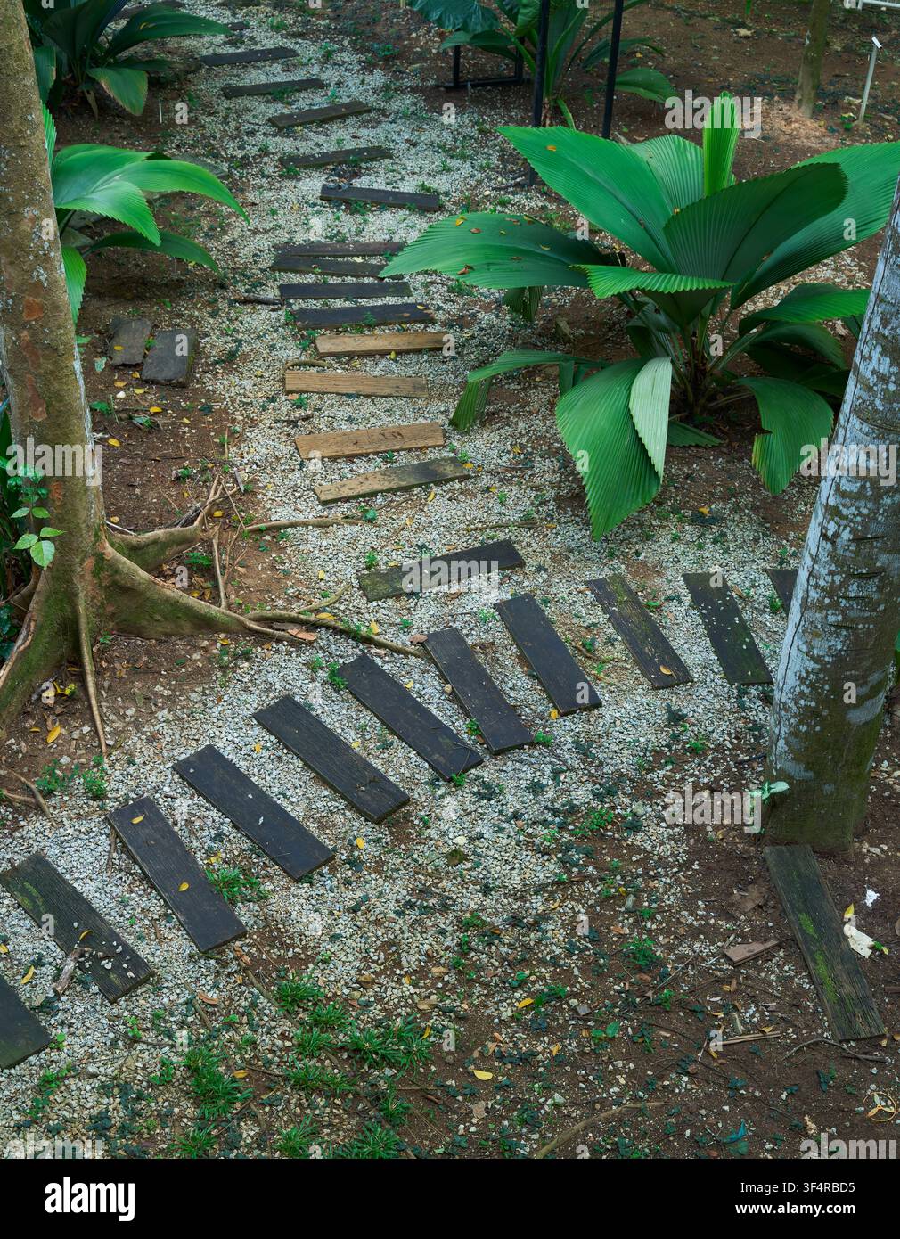 A winding garden path featuring rectangular stepping stones laid over small light-colored pebbles Stock Photo